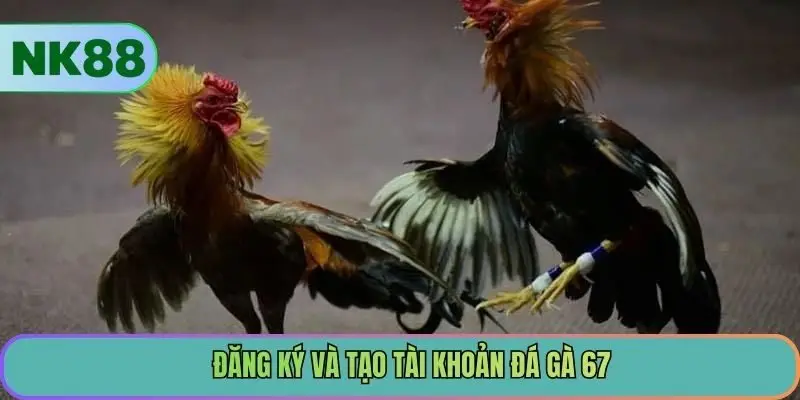 Đăng ký và tạo tài khoản đá gà NK88